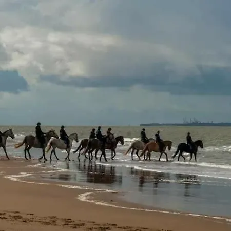 Apartment Mobil 3ch Confort 4etoiles Les Charmettes 393 Proche Fun Zone Les Mathes