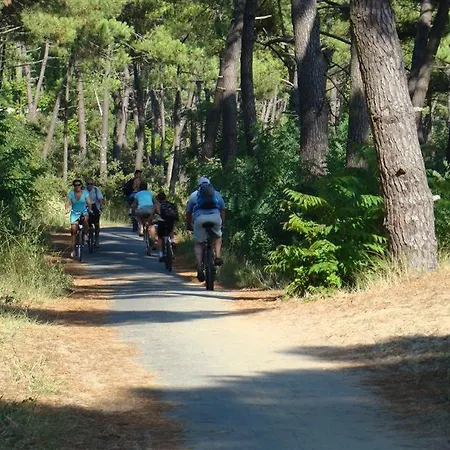 Lejlighed Mobil 3ch Confort 4etoiles Les Charmettes 393 Proche Fun Zone *